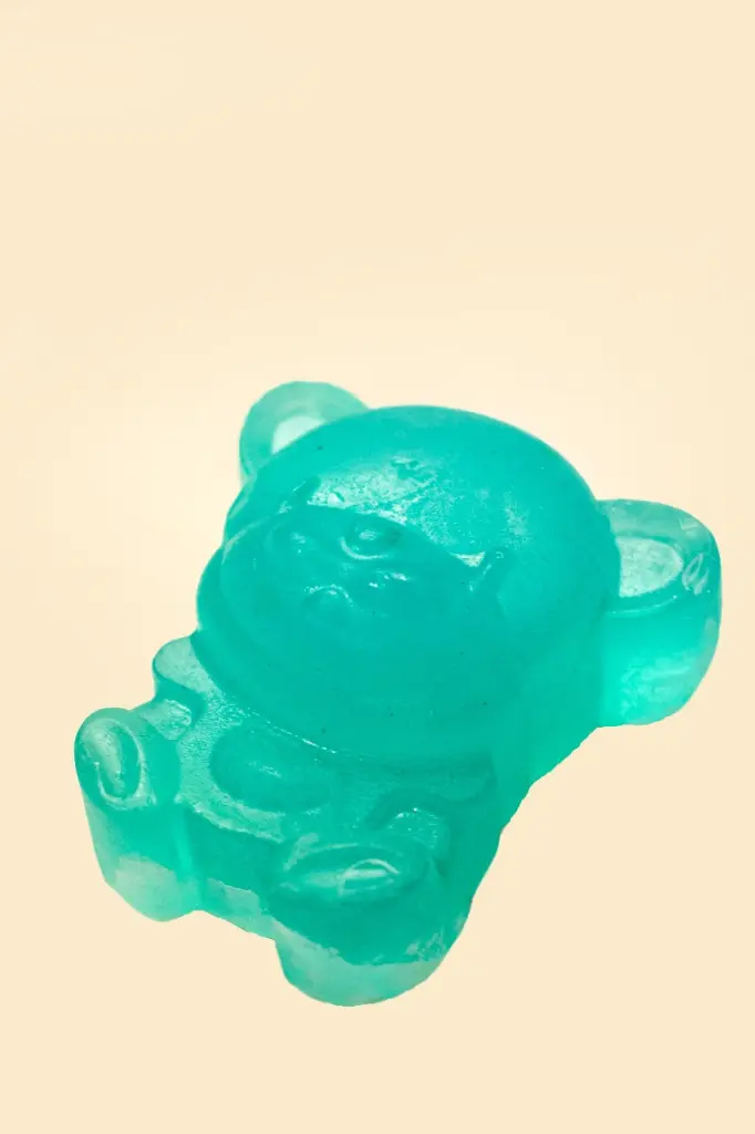 Teddy 2.webp