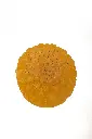 ABC_0505.webp