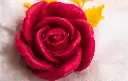 image_1024